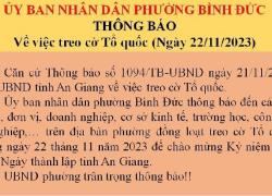 hinh 